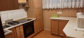 Apartament w Złotym Stoku